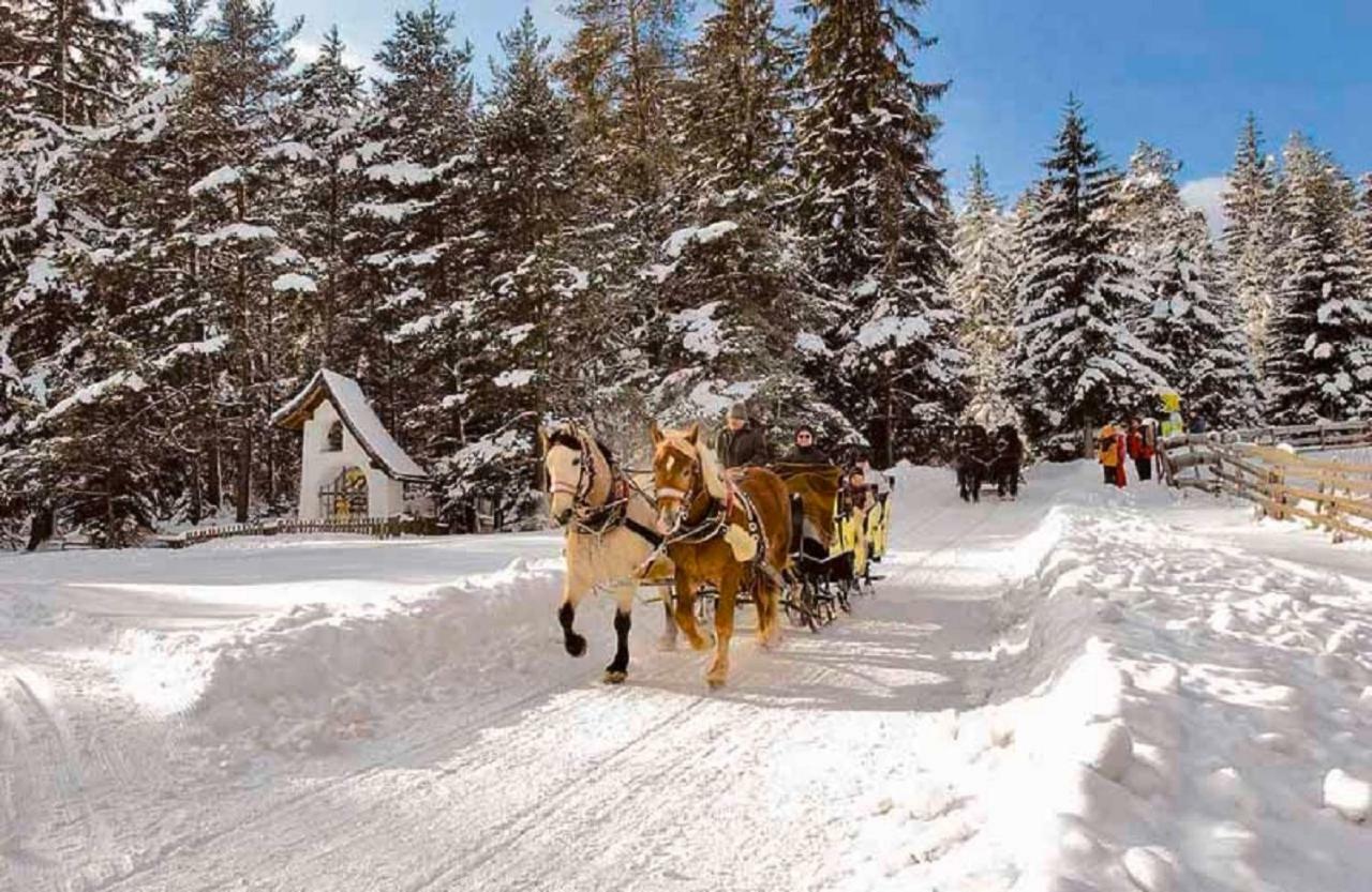 Appartmenthaus Birkenwald Seefeld in Tirol Luaran gambar
