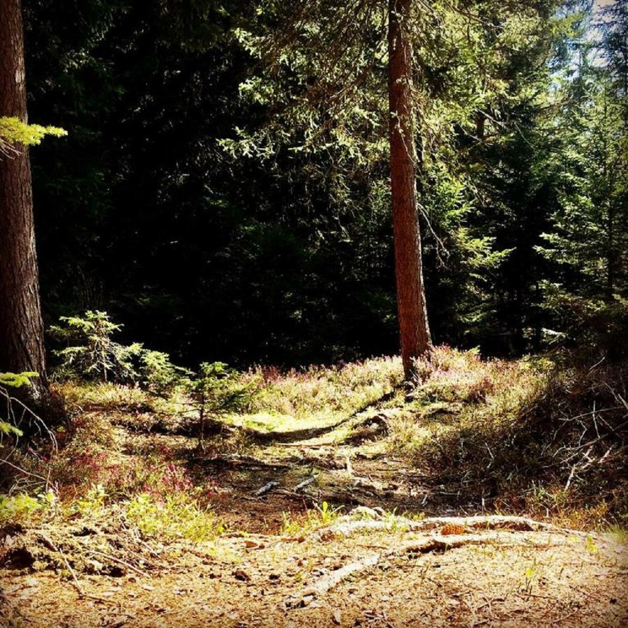 Appartmenthaus Birkenwald Seefeld in Tirol Luaran gambar