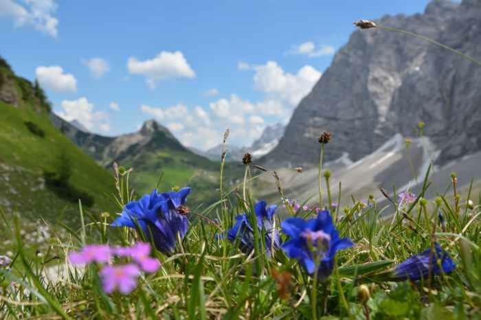 Appartmenthaus Birkenwald Seefeld in Tirol Luaran gambar